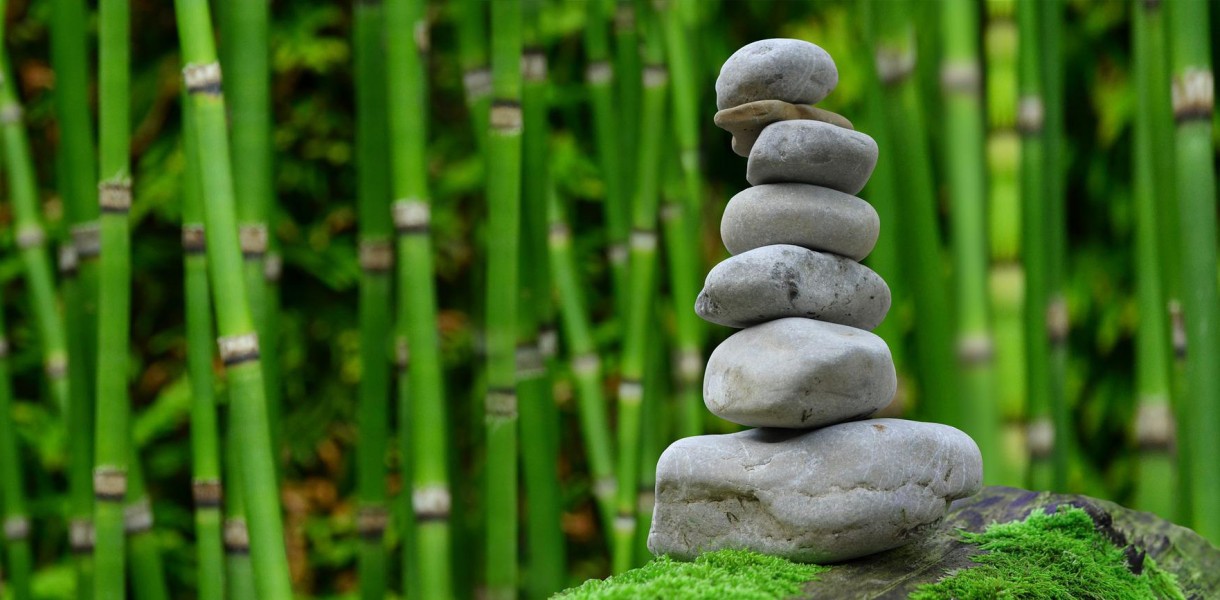 Można zgarnąć nawet 100 tys. zł od rządu. Jak?