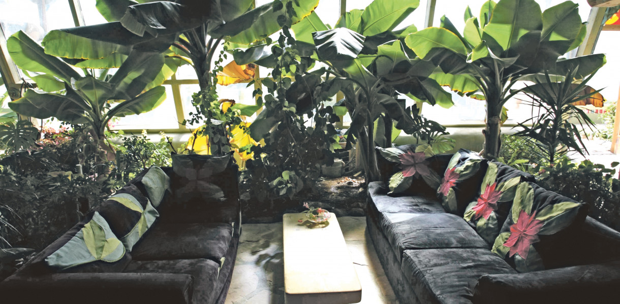 Małpi ogon, monstera i las w słoiku. Wnętrza pełne zielonej energii