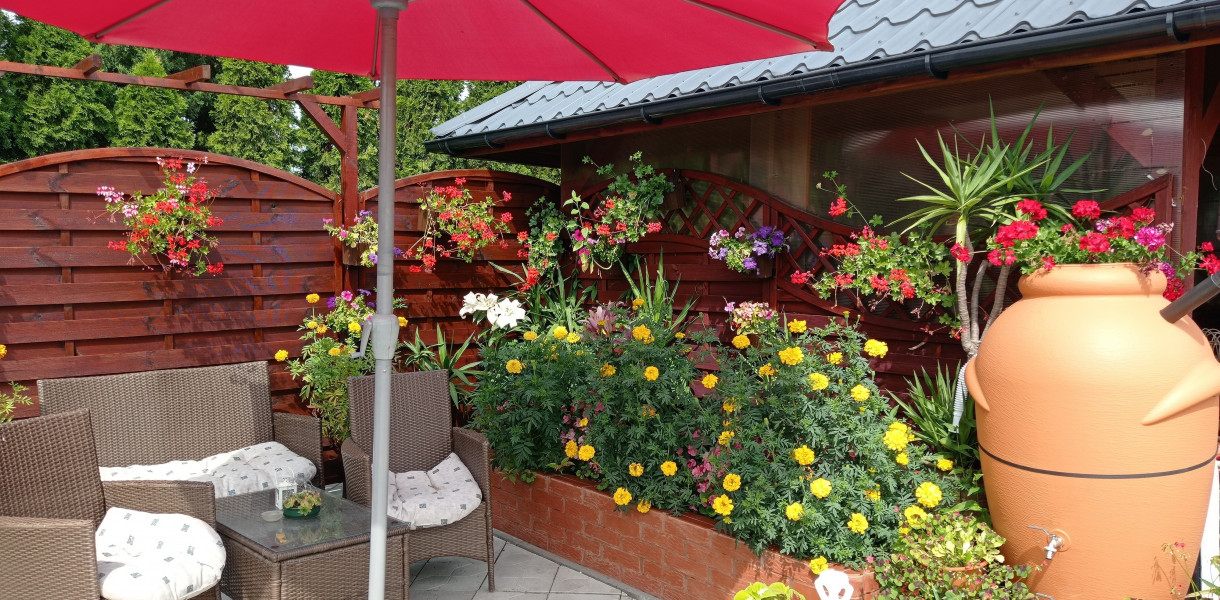 Najładniejsze ogrody. Czekamy na zdjęcia