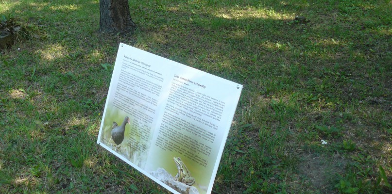 Tarnowskie Góry. W ROD Wyzwolenie powstała ścieżka edukacyjna. Fot. Agnieszka Reczkin