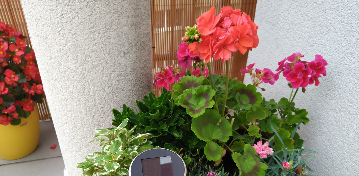 Najpiękniejszy ogród, ogródek działkowy i balkon. Zaczynamy głosowanie!