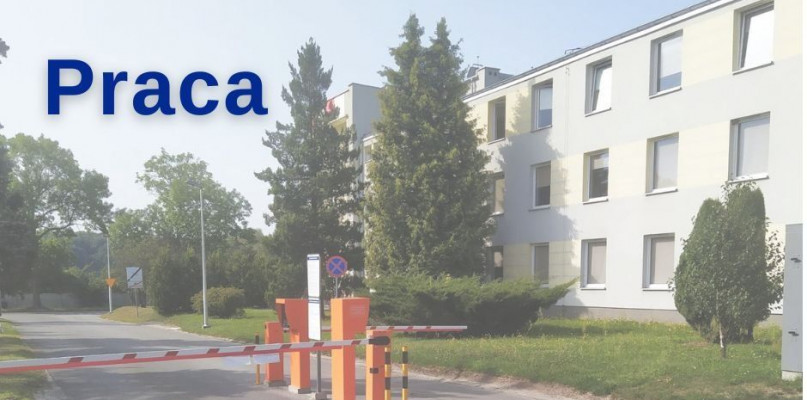 Szpital szuka portierów. Fot. Archiwum WSP