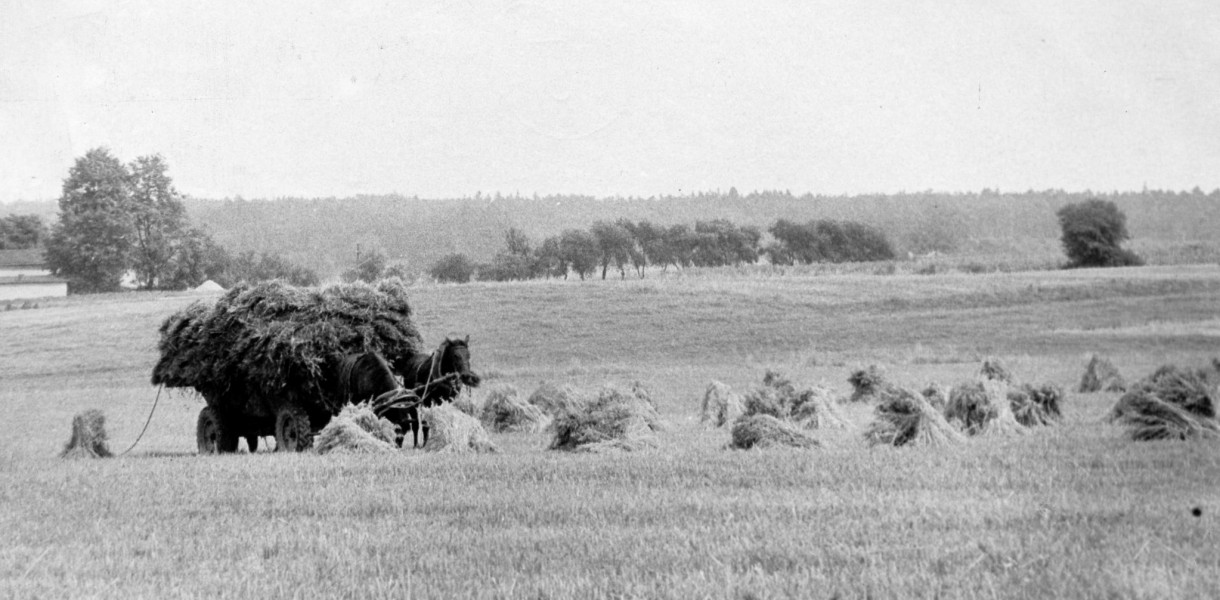 Fot. Archiwum Gwarka