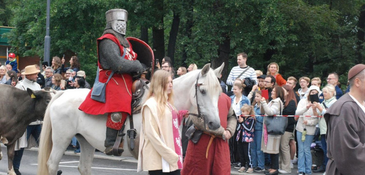 Czy w gródku rycerskim w Starych Tarnowicach siedzibę miał Adam z Tarnowic? Fot. Jarosław Myśliwski