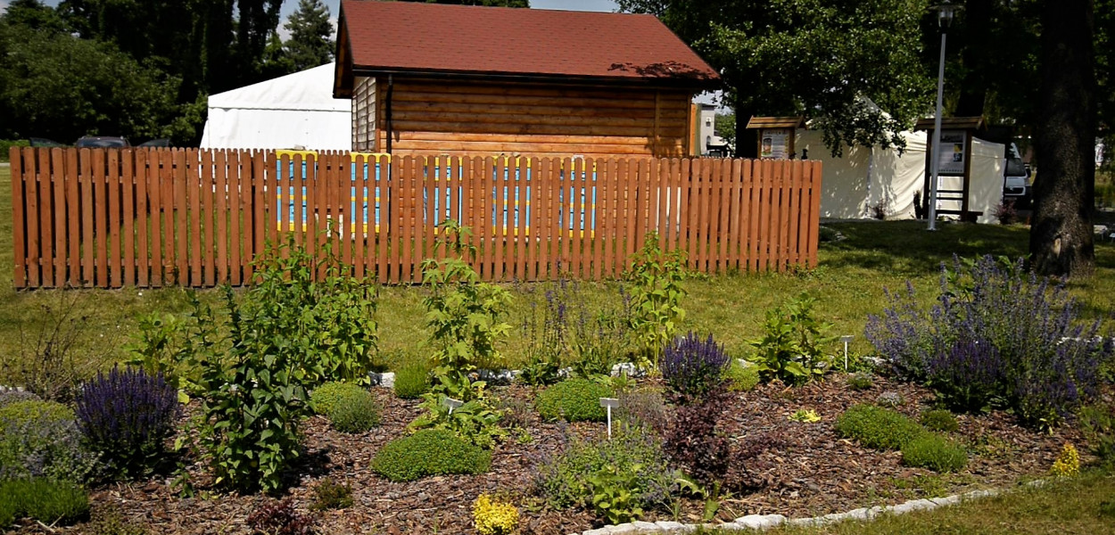 Dzięki wsparciu WFOŚiGW w Katowicach przy pasiece edukacyjnej w Kaletach powstał ogród miododajny. Fot. Jarosław Myśliwski 