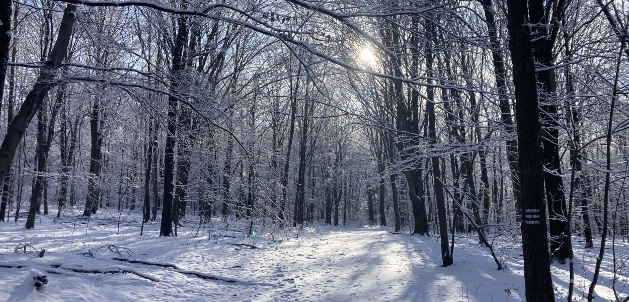 Rezerwat Segiet. Fot. Wojciech Sutor 