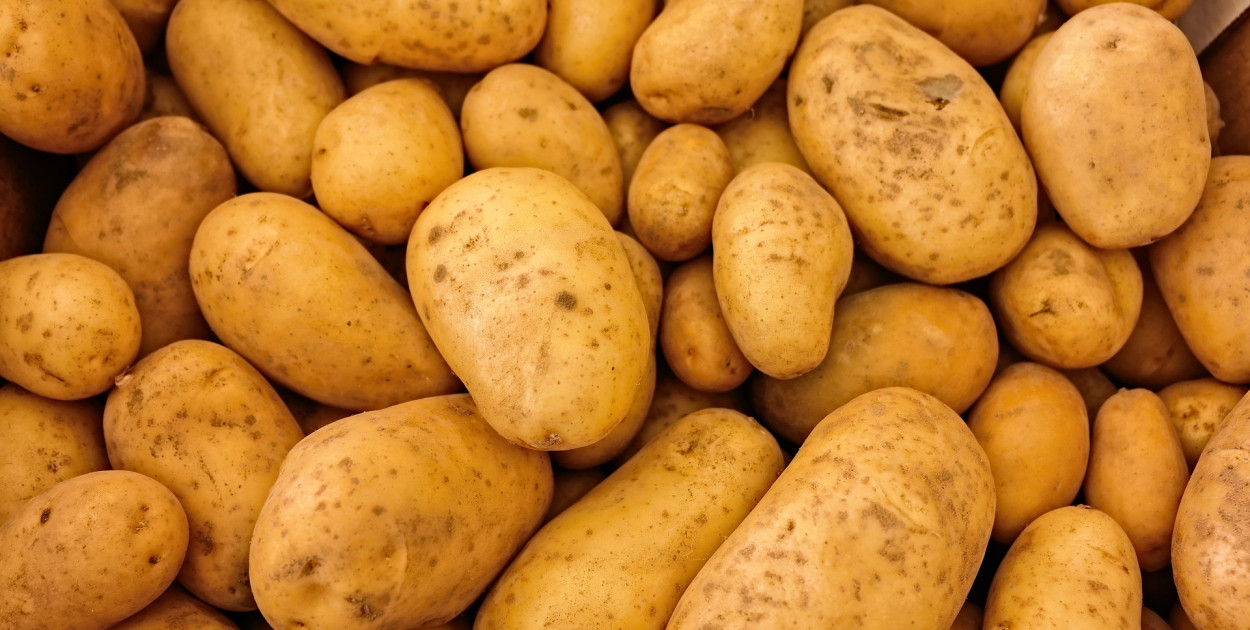 Zdjęcie ilustracyjne. Fot. pixabay.com/pl/