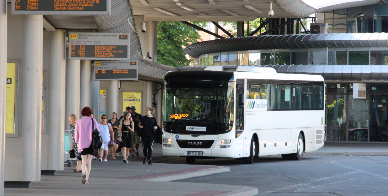 Zmiany dotyczą linii S8 i S80. Fot. Alicja Jurasz