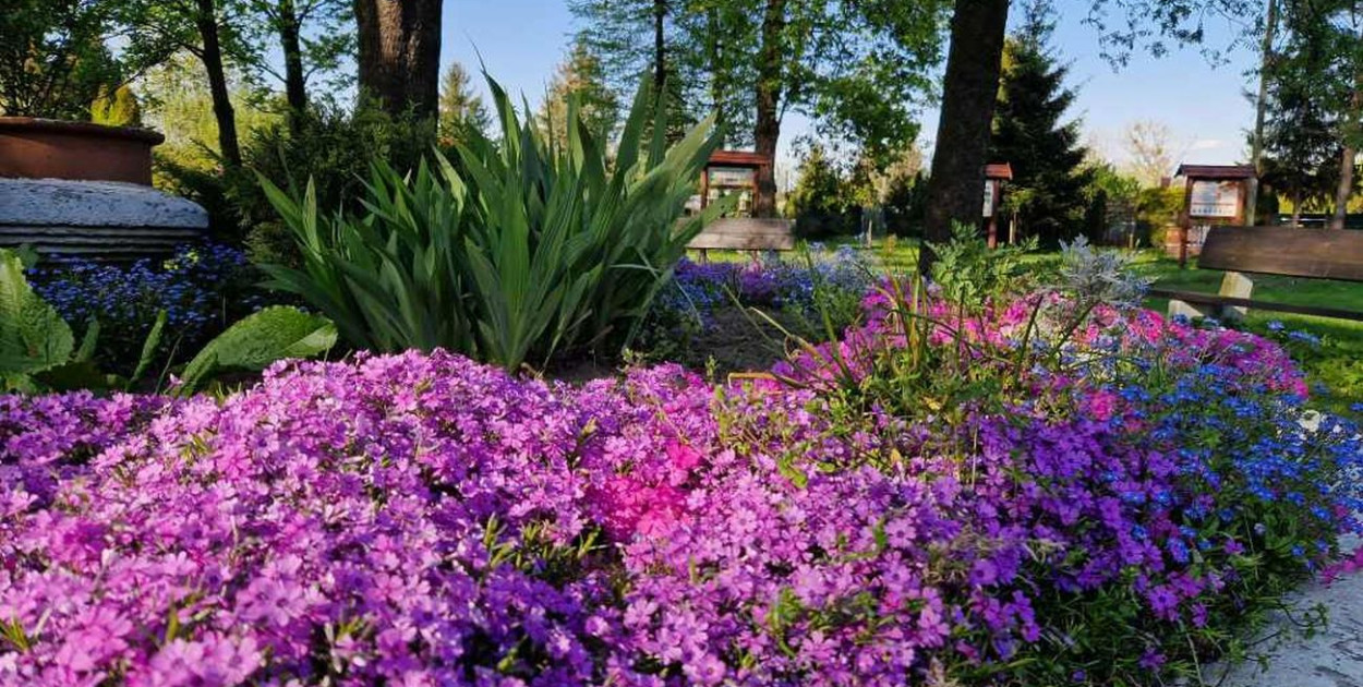 Fot. Archiwum UM Piekary Śląskie