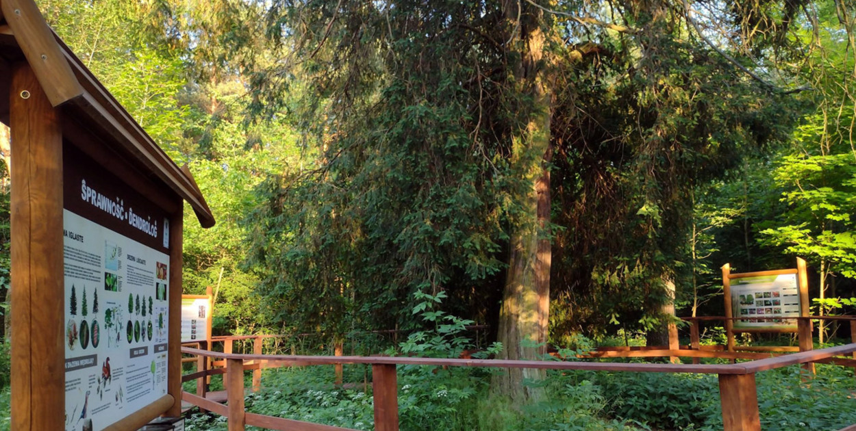 Cis Donnersmarcka. Fot. Archiwum UM Kalety 