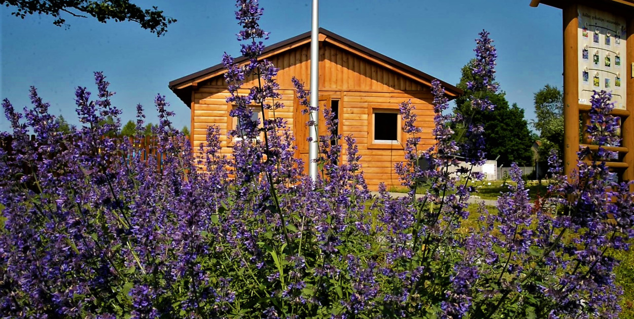 Pasieka edukacyjna w Kaletach zaprasza. Atrakcja z degustacją miodu. Fot. Jarosław Myśliwski