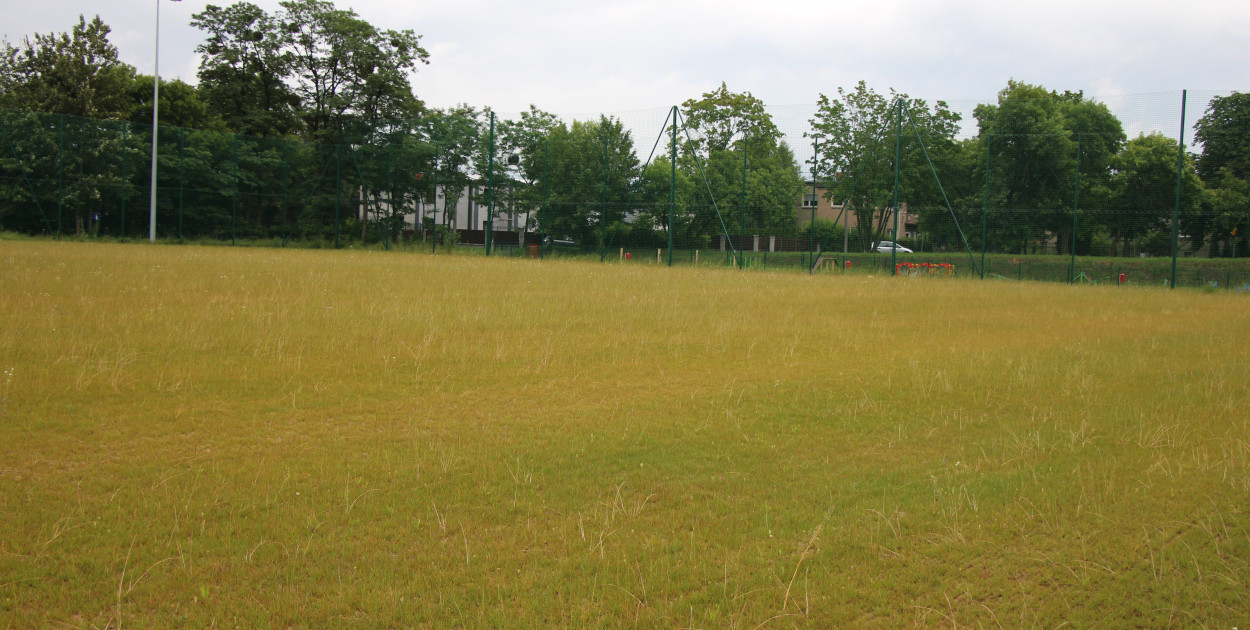 Boisko z naturalną murawą przy stadionie TS Gwarek. Fot. Alicja Jurasz
