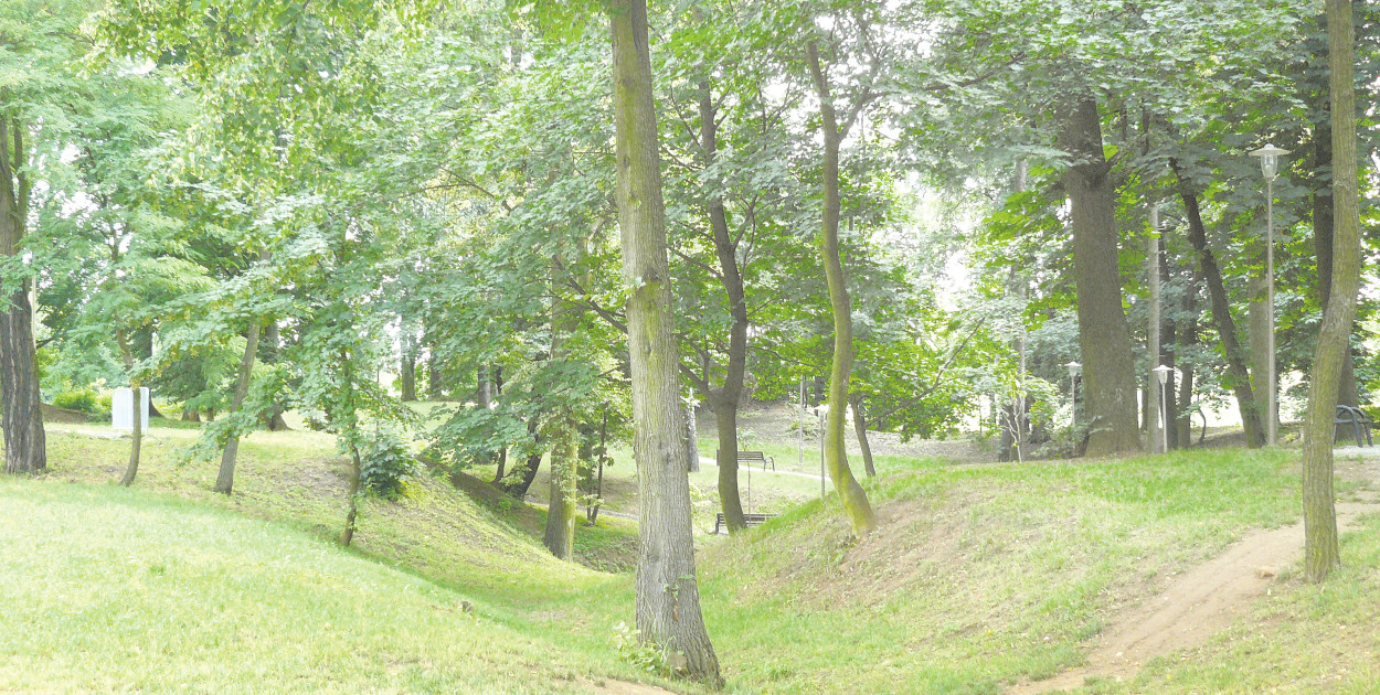 Park Rubina w Miasteczku Śląskim. Fot. Archiwum Gwarka