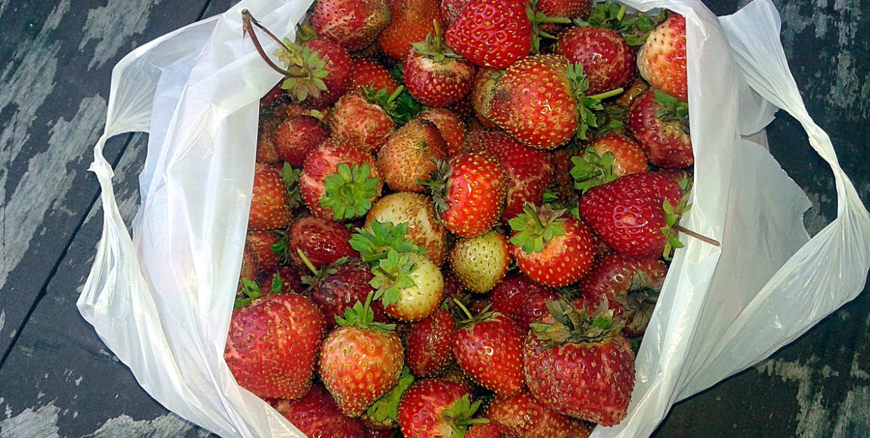 Będzie trzeba płacić za tzw. zrywki? Wiceminister mówi wprost