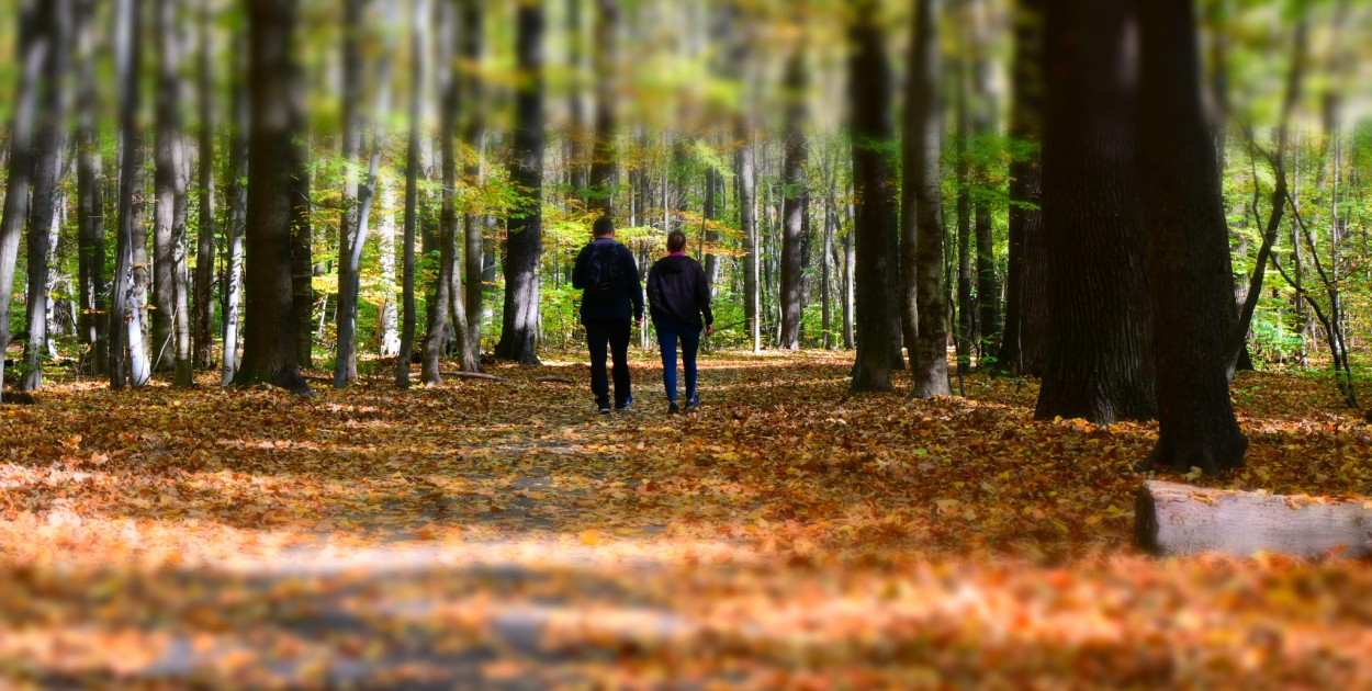 Fot. Archiwum UM Tarnwoskie Góry