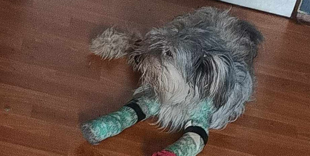 Fot. FB TOZ w Radzionkowie