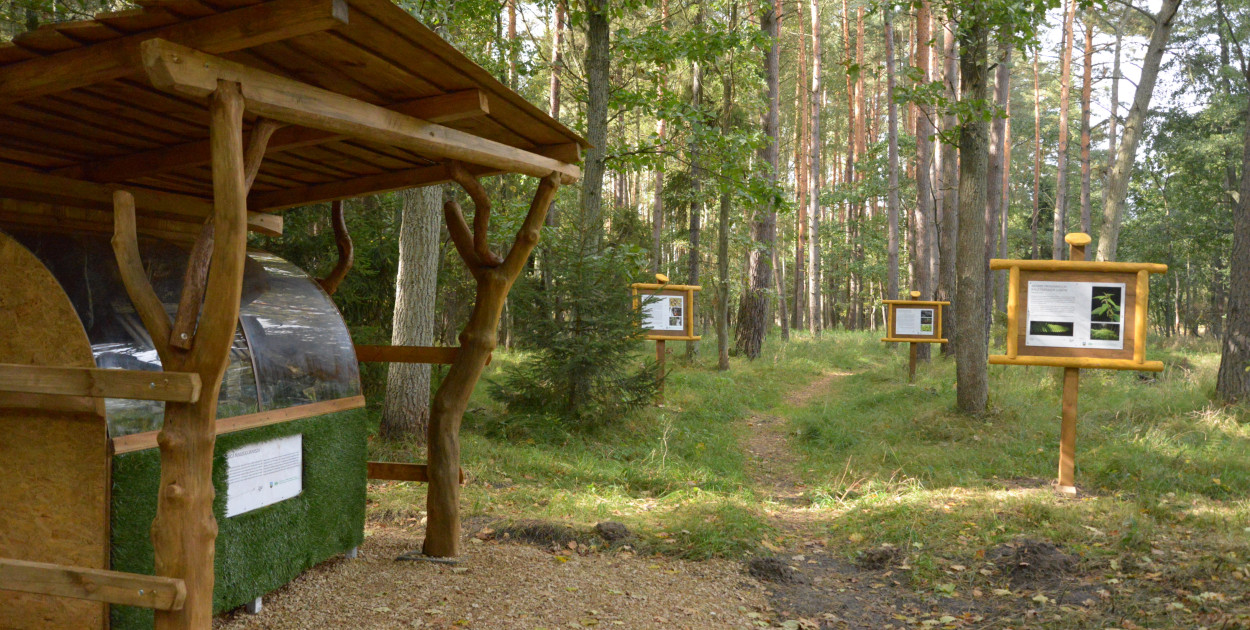 Wojewódzki Fundusz Ochrony Środowiska i Gospodarki Wodnej w Katowicach przyznał Kaletom dofinansowanie na utworzenie ścieżki edukacyjnej "Przyrodnicze skarby pradawnych kaletańskich lasów". Dotacja wynosi 17 tys. 600 zł. Fot. Jarosław Myśliwski