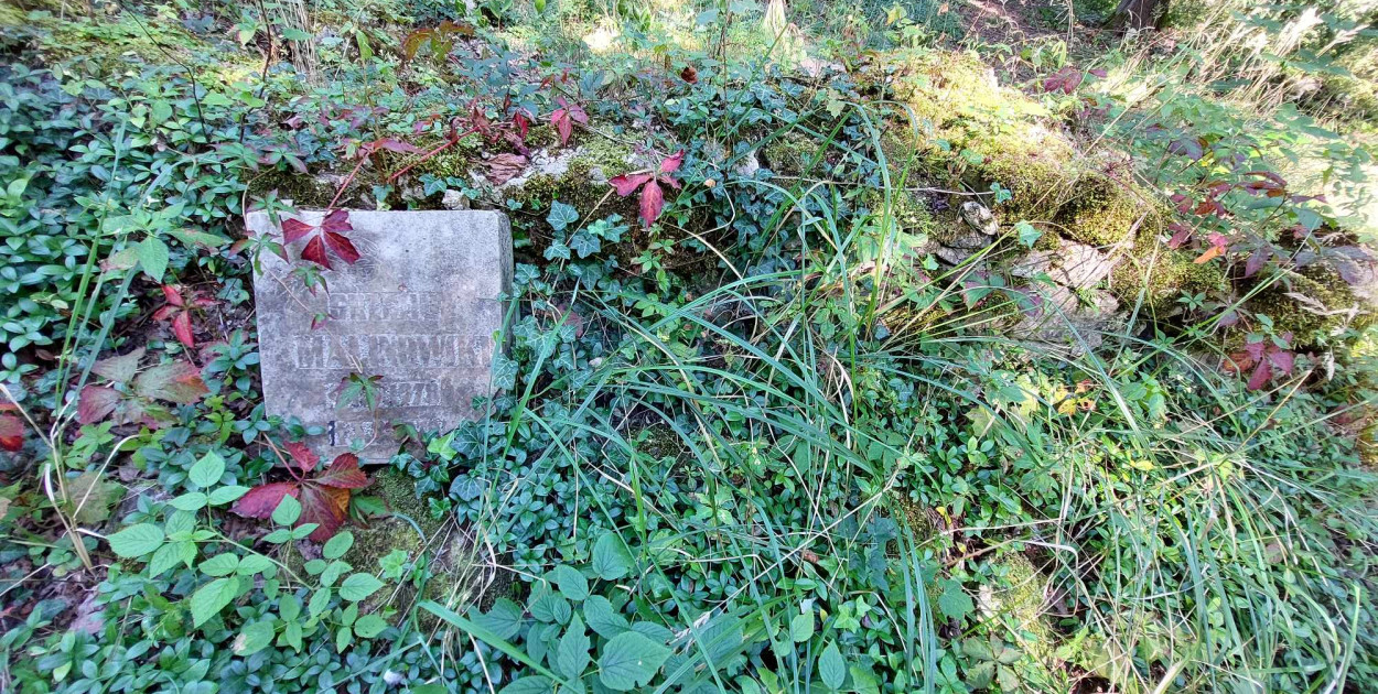 Fot. Stowarzyszenie Wrazidlok