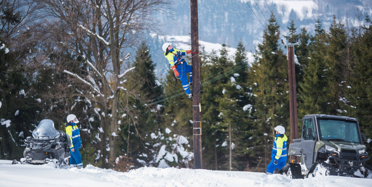Fot. Tauron/materiały prasowe 