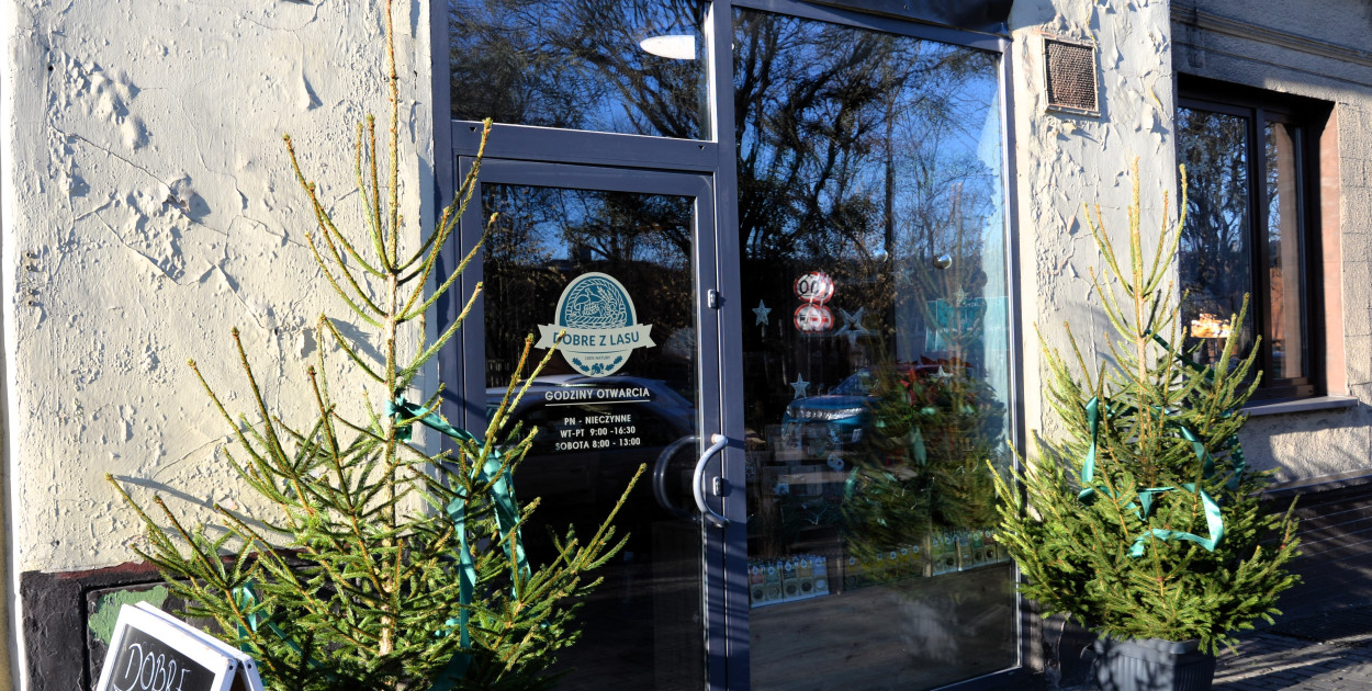 Sklep Dobre z Lasu mieści się w samym centrum Tarnowskich Gór, przy ulicy Piłsudskiego 4. Zdjęcia: Agnieszka Gabała