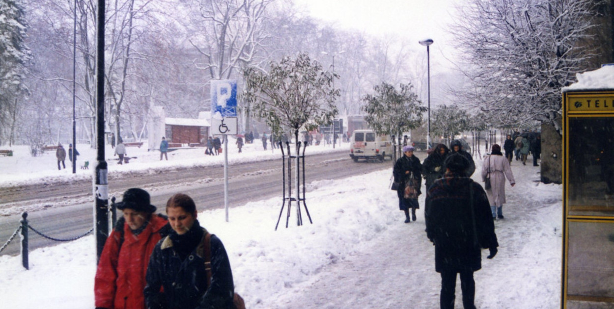  Świąteczny konkurs Gwarka, karp na niebiesko, metamorfoza Barbary Dziuk