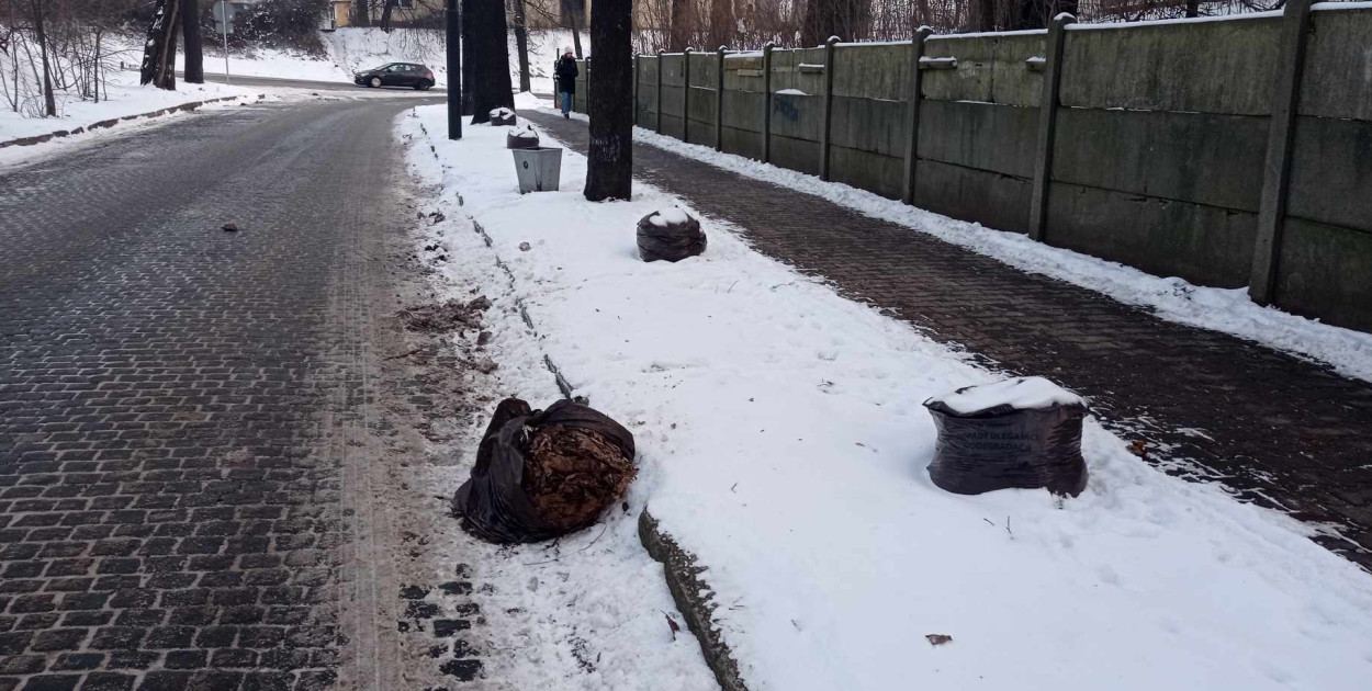 Przy ul. Częstochowskiej w Tarnowskich Górach leżą nieposprzątane worki z liśćmi. Fot. Alicja Jurasz