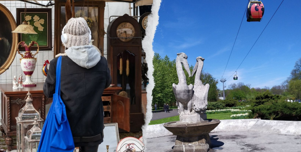 Fot. UM Bytom/ARC Gwarek