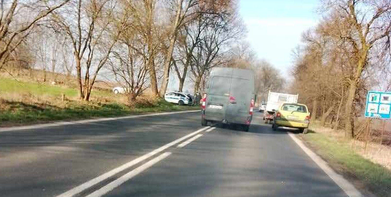 Fot. Dzięki uprzejmości M. Sierki