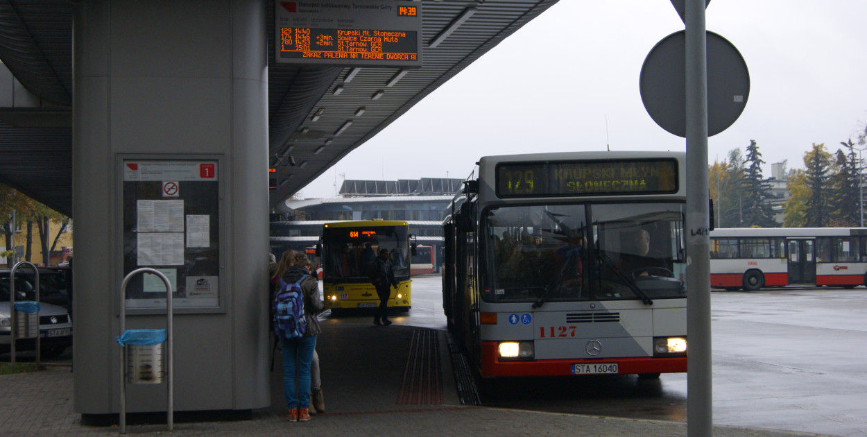 Fot. Archiwum Gwarka