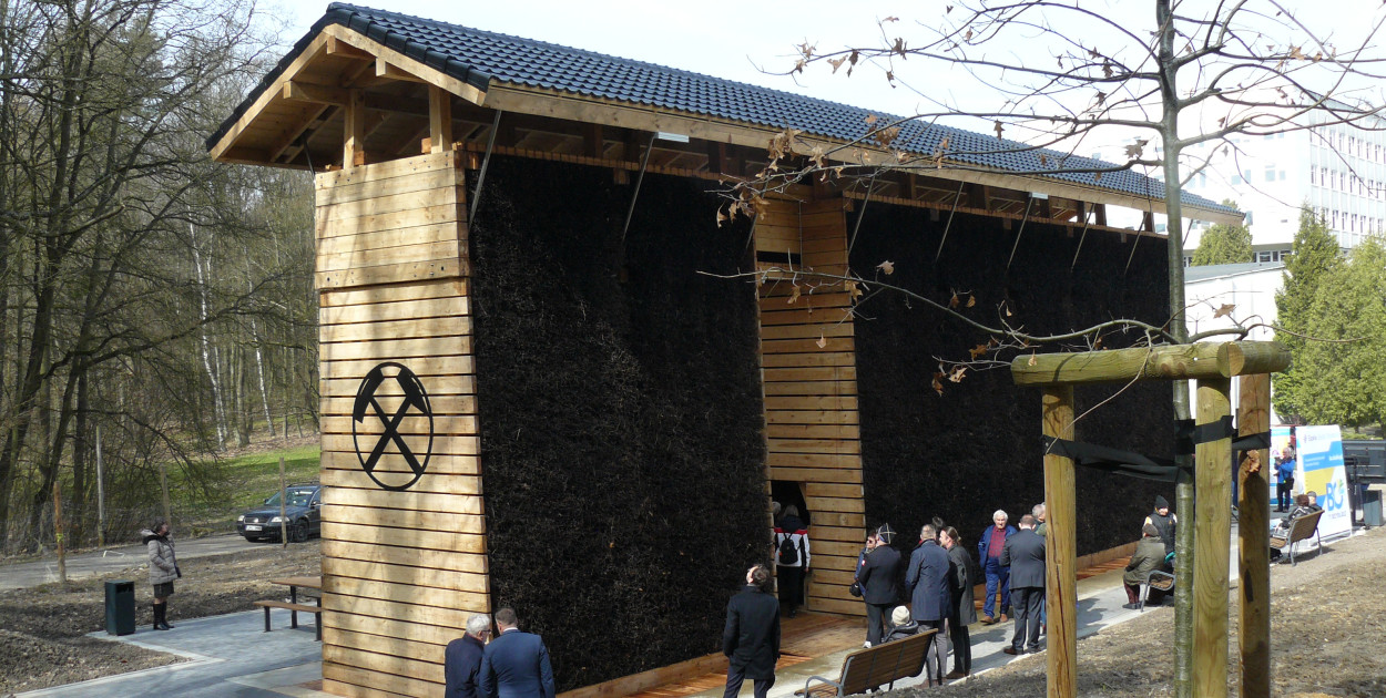 Fot. Agnieszka Reczkin