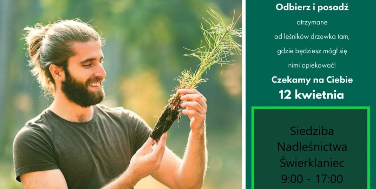 Posadź drzewo. Nadleśnictwa Świerklaniec i Brynek rozdają sadzonki