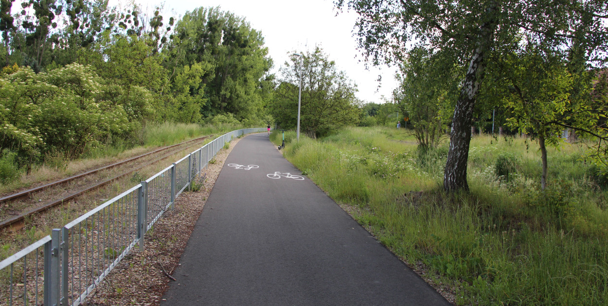 Ścieżka rowerowa przy torach wąskotorówki. Fot. Alicja Jurasz