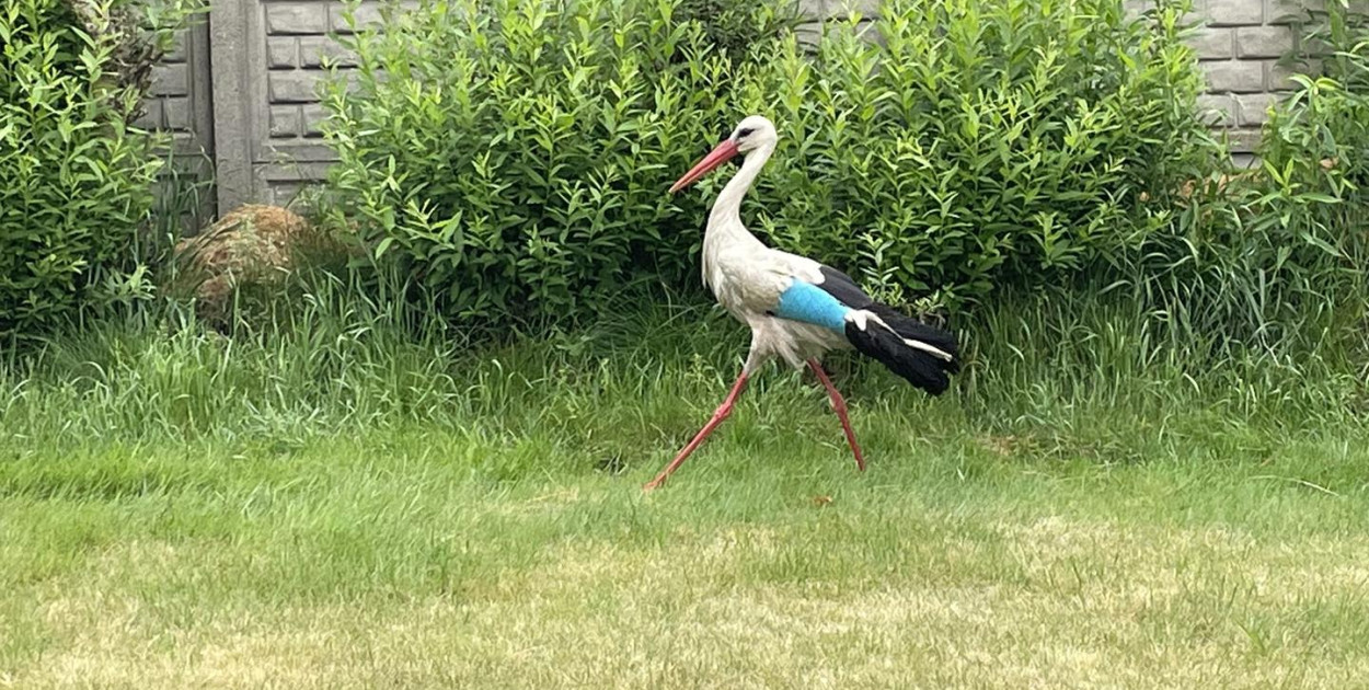 Fot. Archiwum fundacji