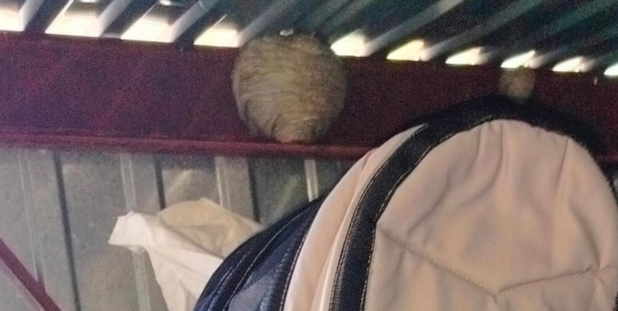 – Ludzie przyzwyczaili się dzwonić w takich sytuacjach na 112, a straż pożarną powinni wzywać  tylko w przypadku zagrożenia życia i zdrowia – mówi kpt. Wojciech Poloczek, rzecznik prasowy komendy straży pożarnej w Tarnowskich Górach. Fot. OSP Tworóg