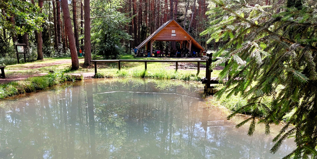 Atrakcja w zasięgu ręki. Uroczysko Źródełko między Bruśkiem a Krywałdem. Fot. Jarosław Myśliwski