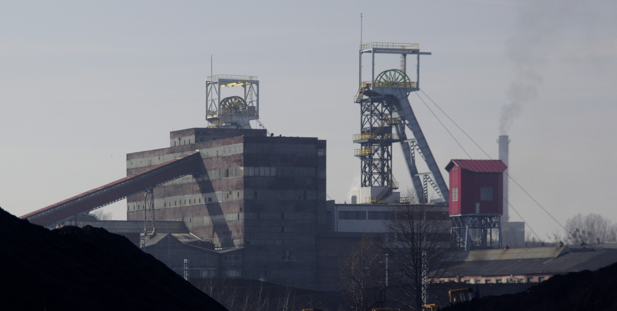 Fot. Adrian Tync. CC BY-SA 4.0