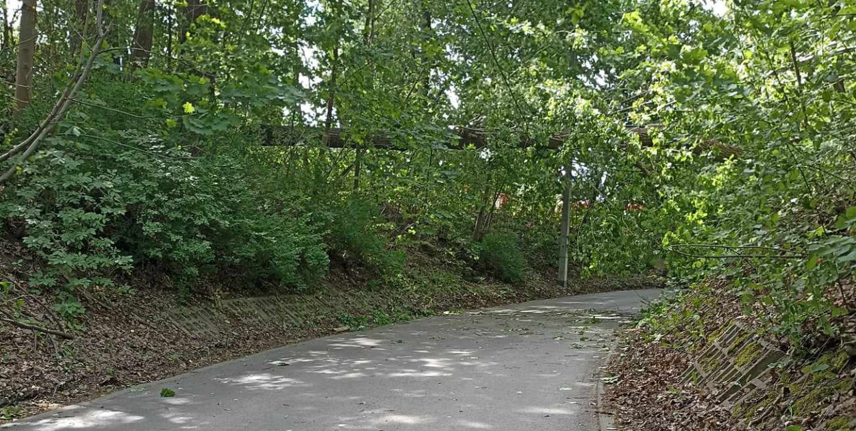 Fot. Archiwum UM Radzionków