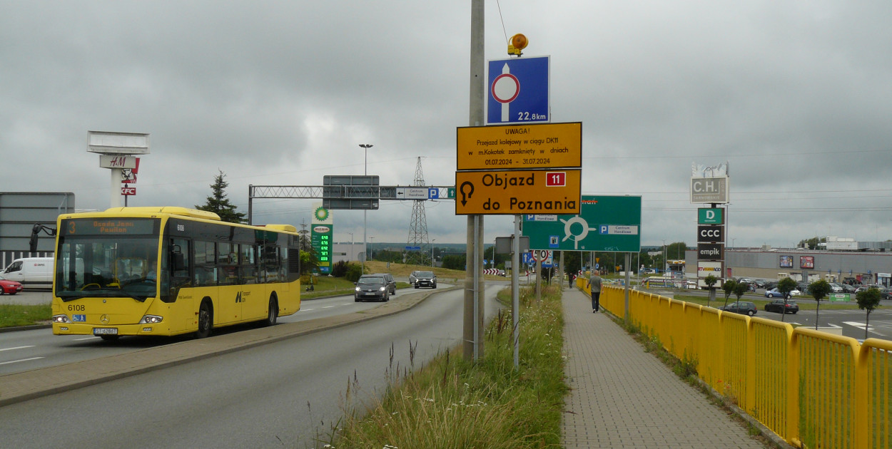 Fot. Agnieszka Reczkin