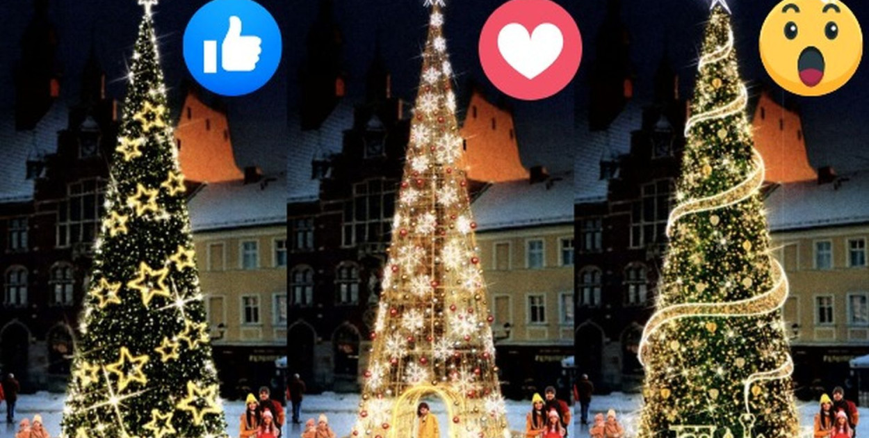 Choinki do wyboru. Archiwum UM Tarnowskie Góry