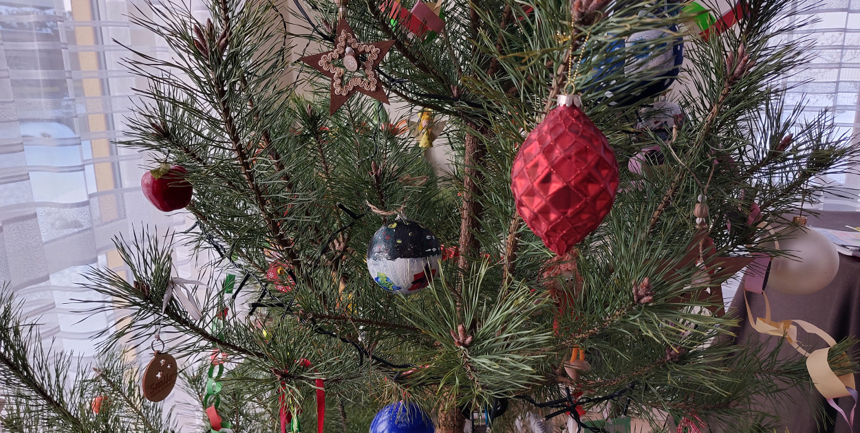 W styczniu i lutym firma Remondis odbierze wystawione przez mieszkańców choinki.  Fot. Agnieszka Reczkin