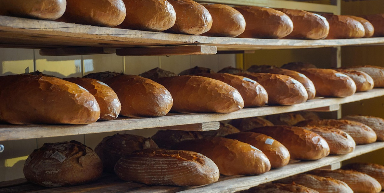 Zdjęcie ilustracyjne, fot. Pixabay