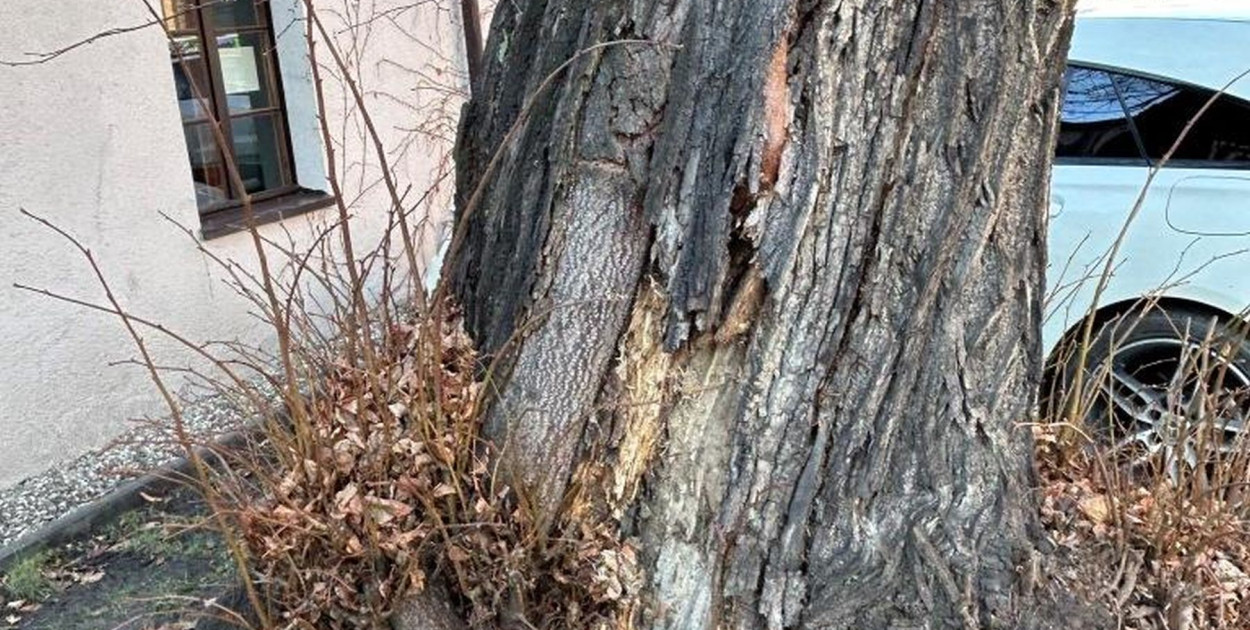 Zdjęcia: PTTK, oddział Tarnowskie Góry