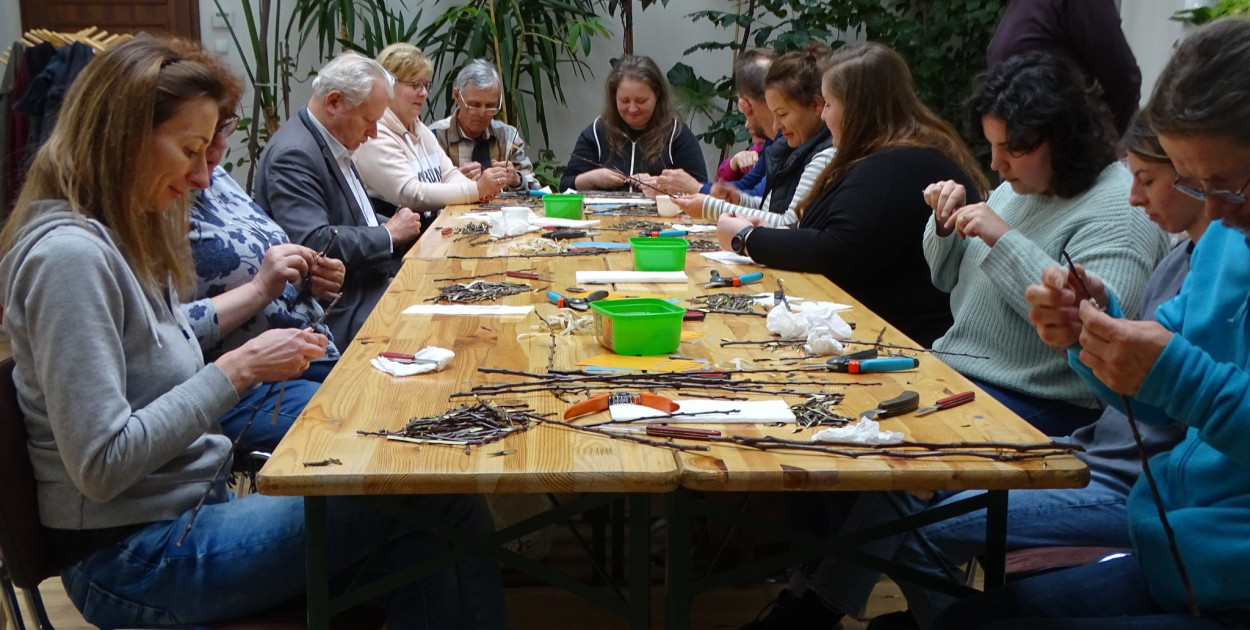 Fot. Śląski Ogród Botaniczny Radzionków