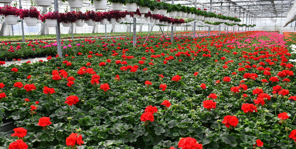 Fot. Agnieszka Gabała