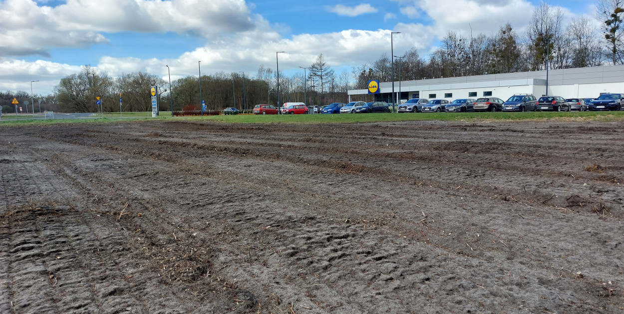 Zdjęcia: Agnieszka Reczkin