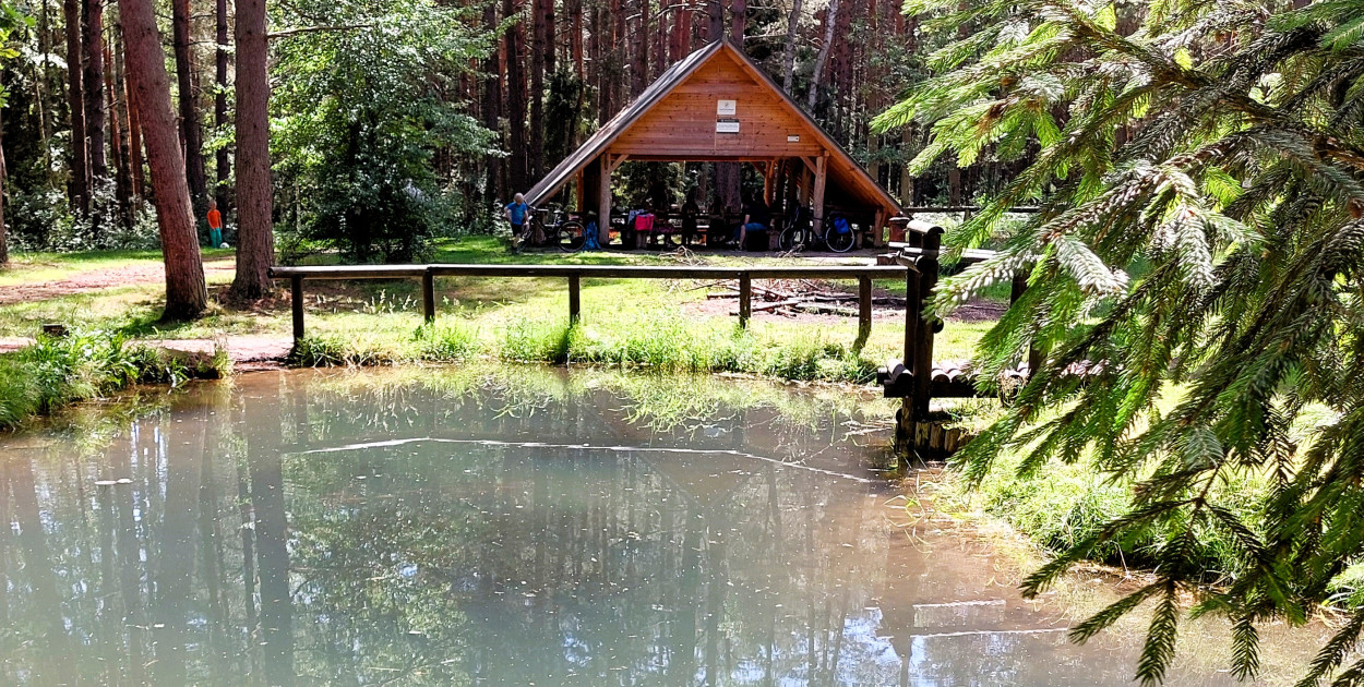 Uroczysko Krywałd. Na miejscu jest wiata z ławami i stołami urządzona przez Nadleśnictwo Koszęcin. Fot. Jarosław Myśliwski