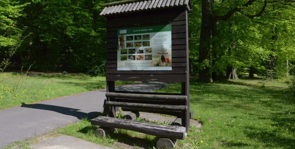 Urząd Miejski w Tarnowskich Górach rozstrzygnął przetarg na utrzymanie parku Repeckiego. Najkorzystniejszą ofertę złożyła firma Bilpol – Kużaj z Dolnika. Fot. Jarosław Myśliwski