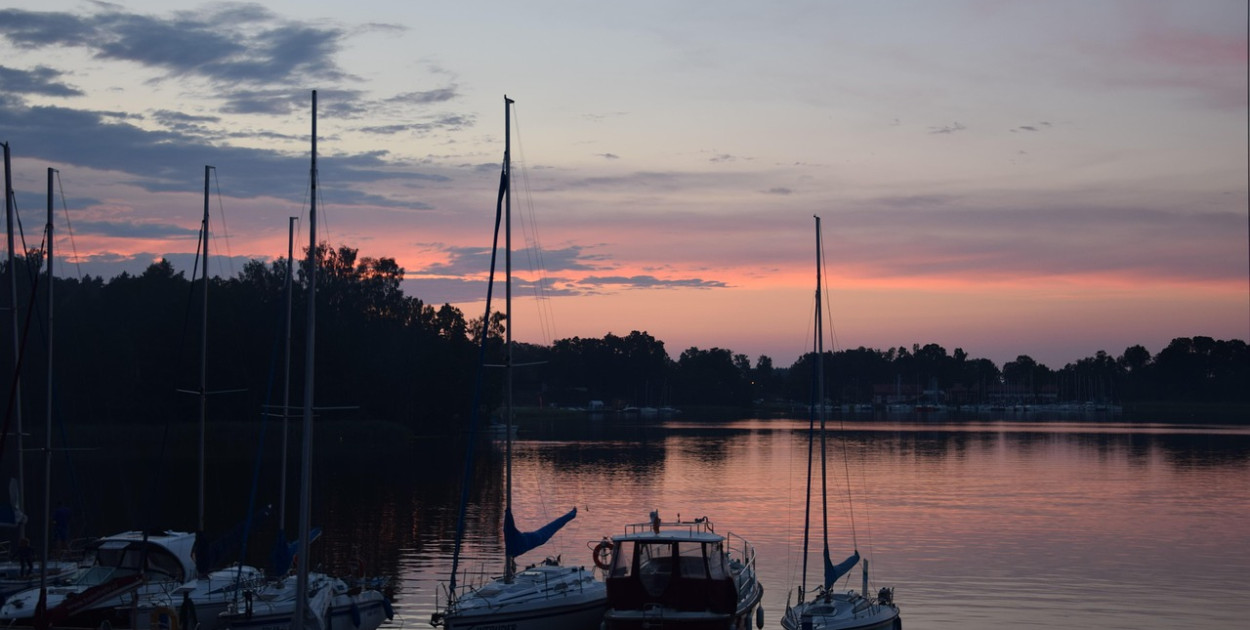 Obraz TUDOREK z Pixabay