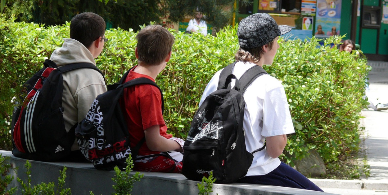 Obraz Oto Zapletal z Pixabay