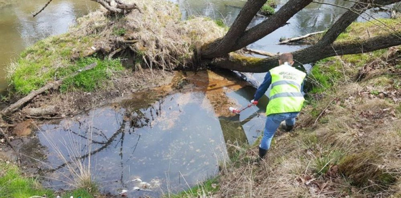 Inspektorzy WIOŚ pobrali próbki wody do badań. Nitrocet zbierał się w zakolach rzeki. Fot. OSP Koty